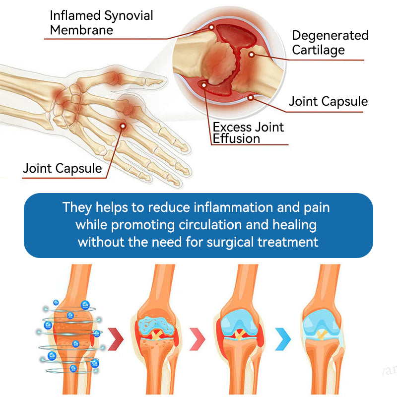 【⏰Promotion in the last 30 minutes!】