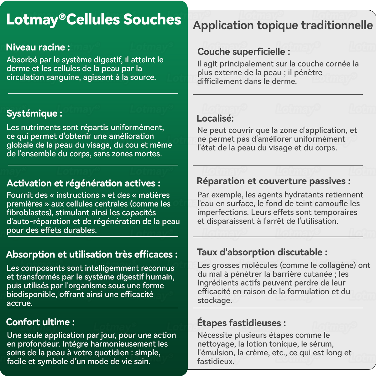 【Édition Exclusive Officiellement Autorisée】Lotmay® Sérum Oral de Cellules Souches et Peptides de Collagène 🛒(Raffermit et Tonifie la Peau Relâchée & Réduit la Formation de Rides）🌸